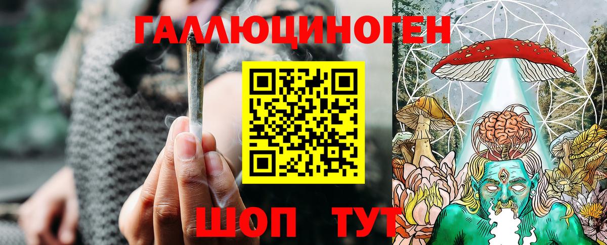 Галлюциногенные грибы Psilocybe  Псилоцибиновые грибы Psilocybine cubensis  Евпатория  Вход с VPN 
