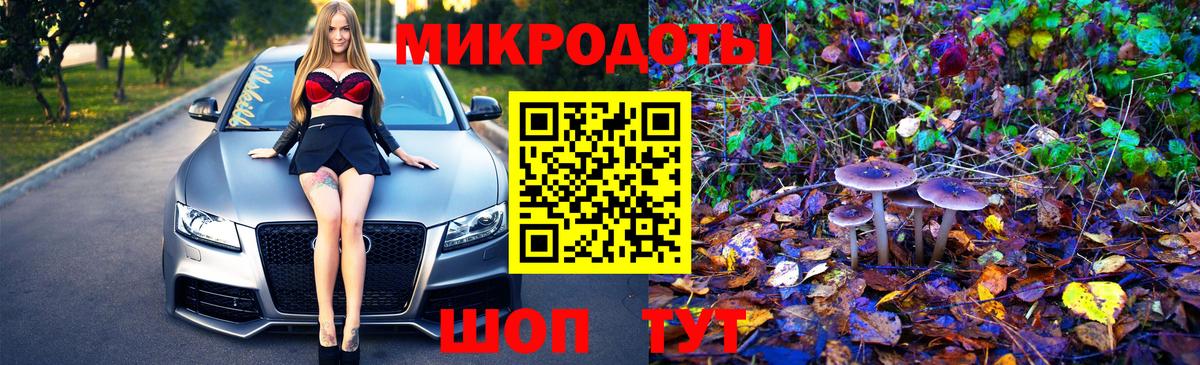 Псилоцибиновые грибы прущие грибы Евпатория